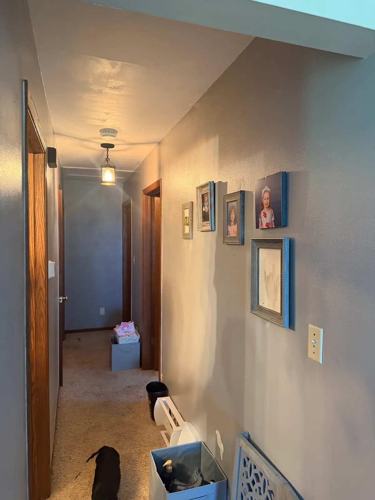 Interior Painting